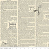Image of the Press On Clothing Care Copy Parchment quilting cotton fabric by J. Wecker Frisch for Riley Blake Designs. Features vintage iron-themed text and on a cream beige background. 
Cute Little Fabric Shop