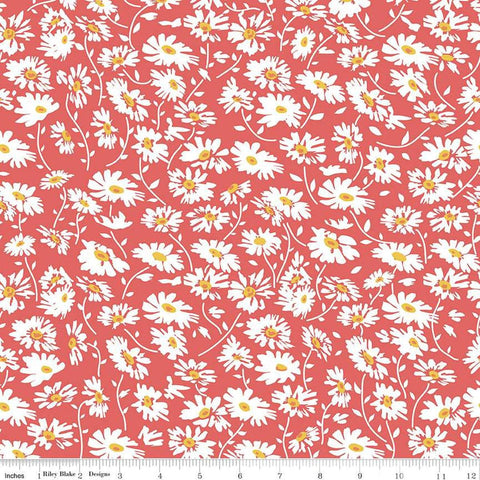 Image of the Always in Season Daisy Red quilting cotton fabric by American Jane for Riley Blake Designs. Features scattered daisies on a light red background. 
Cute Little Fabric Shop