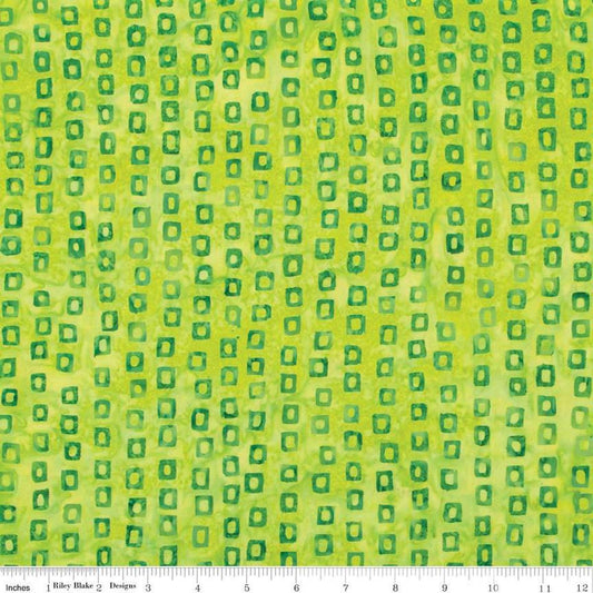 Image of the Expressions Batiks Halloween Expressions Mantis quilting cotton by Riley Blake Designs. Features square outlines on a bright green background.
Cute Little Fabric Shop