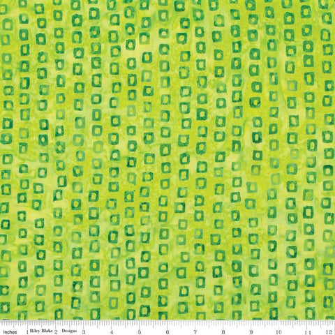 Image of the Expressions Batiks Halloween Expressions Mantis quilting cotton by Riley Blake Designs. Features square outlines on a bright green background.
Cute Little Fabric Shop