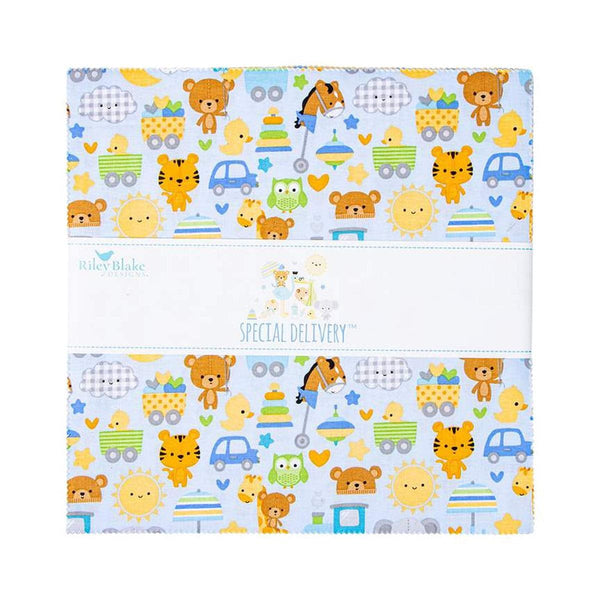 Image of the Special Delivery 10 inch stacker by Doodlebug Design Inc for Riley Blake Designs. Features baby boy themed prints.
Cute Little Fabric Shop