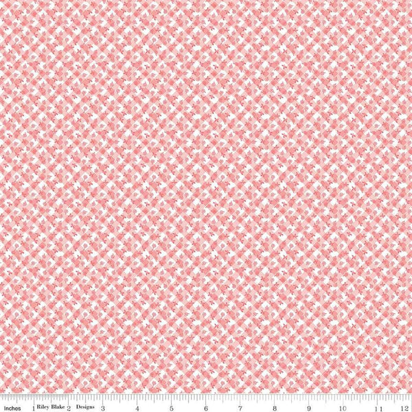 Image of the Playtime 30s Gingham Pink quilting cotton fabric by Lindsay Wilkes for Riley Blake Designs. Features small scattered flowers on a diagonal gingham stripe on a light pink background. 
Cute Little Fabric Shop