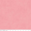 Image of the Shades Coral quilting cotton by Riley Blake Designs. Features a textured pattern on pink. 
Cute Little Fabric Shop