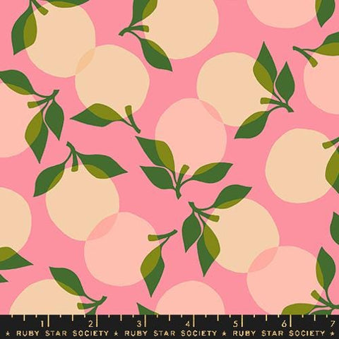 Image of the Juicy Peaches Sorbet quilting cotton fabric by Melody Miller for Ruby Star Society, distributed by Moda Fabrics. Features translucent pink peaches on a pink background. 
Cute Little Fabric Shop