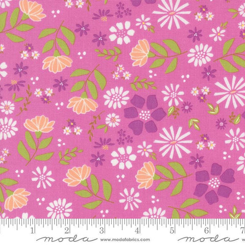 Image of the Laguna Sunrise Main Sweet Pea quilting cotton fabric by Sherri & Chelsi for Moda Fabrics. Features large colorful flowers on a pink purple background. 
Cute Little Fabric Shop