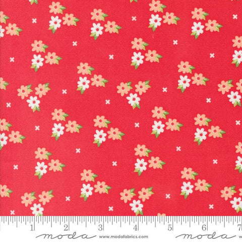 Image of the Laguna Sunrise Blossoms Geranium quilting cotton fabric by Sherri & Chelsi for Moda Fabrics. Features small flowers on a bright red background. 
Cute Little Fabric Shop