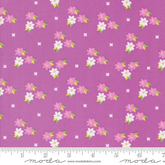 Image of the Laguna Sunrise Blossoms Violet quilting cotton fabric by Sherri & Chelsi for Moda Fabrics. Features small flowers on a bright purple background. 
Cute Little Fabric Shop