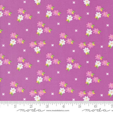 Image of the Laguna Sunrise Blossoms Violet quilting cotton fabric by Sherri & Chelsi for Moda Fabrics. Features small flowers on a bright purple background. 
Cute Little Fabric Shop