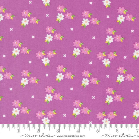 Image of the Laguna Sunrise Blossoms Violet quilting cotton fabric by Sherri & Chelsi for Moda Fabrics. Features small flowers on a bright purple background. 
Cute Little Fabric Shop