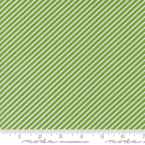 Image of the Laguna Sunrise Stripes Fresh Grass quilting cotton fabric by Sherri & Chelsi for Moda Fabrics. Features diagonal stripes on a green background. 
Cute Little Fabric Shop