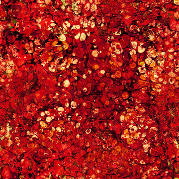 Dragon Fyre 29933 Dragon Scale Texture T - QT Fabrics - Fire Breathing Dragons - Quilting Cotton Fabric