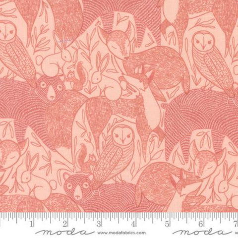 Woodland Wonder Main Blush quilting cotton fabric by Gingiber for Moda Fabrics. Features animals sketched on a pink background. 
Cute Little Fabric Shop