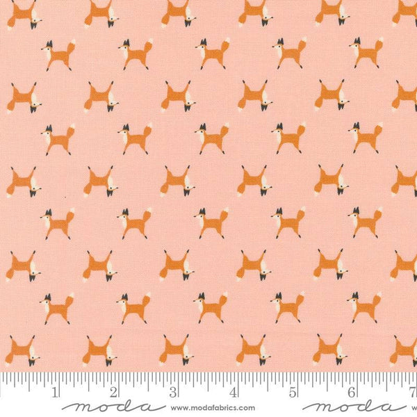 Woodland Wonder Fox Trot Blush quilting cotton fabric by Gingiber for Moda Fabrics. Features small scattered foxes on a light pink background. 
Cute Little Fabric Shop