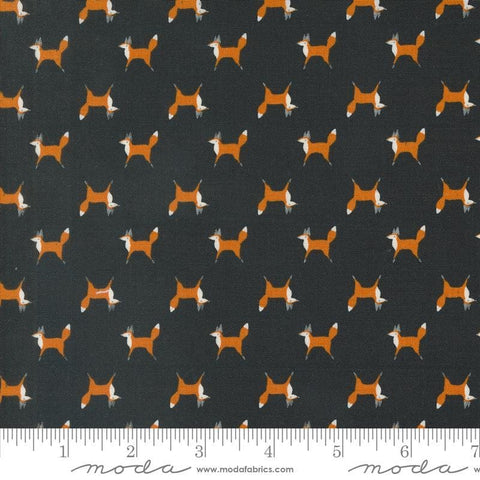 Woodland Wonder Fox Trot Midnight quilting cotton fabric by Gingiber for Moda Fabrics. Features small scattered foxes on a black background. 
Cute Little Fabric Shop