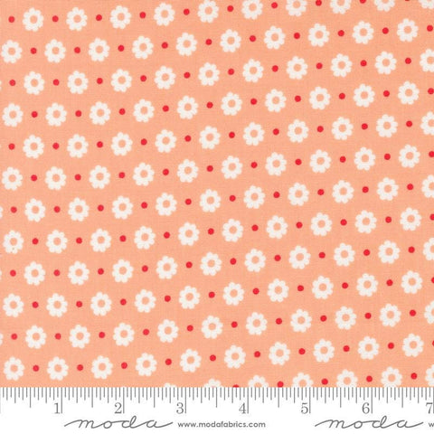 Image of the Laguna Sunrise Floral Dot Off Cantaloupe quilting cotton fabric by Sherri & Chelsi for Moda Fabrics. Features small flowers on a peach background. 
Cute Little Fabric Shop