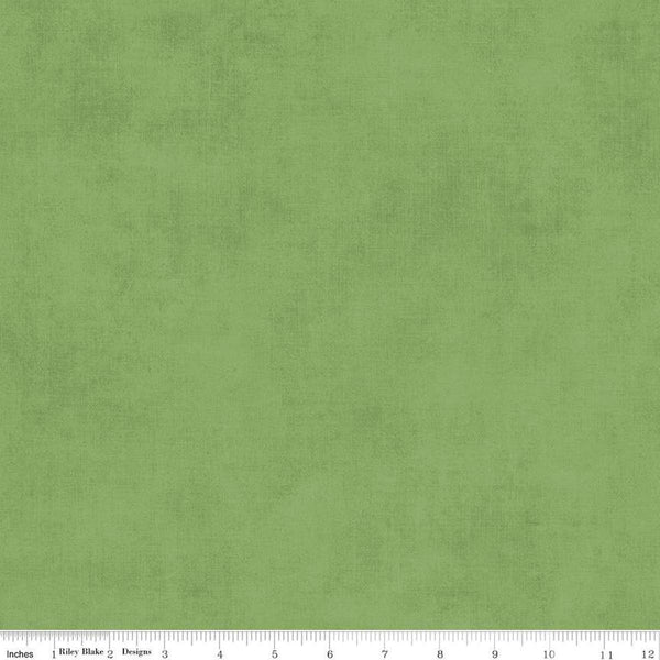 Image of the Shades Green quilting cotton fabric by Riley Blake Designs. Features a green fabric with a mottled semisold background. 
Cute Little Fabric Shop