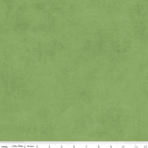 Image of the Shades Green quilting cotton fabric by Riley Blake Designs. Features a green fabric with a mottled semisold background. 
Cute Little Fabric Shop