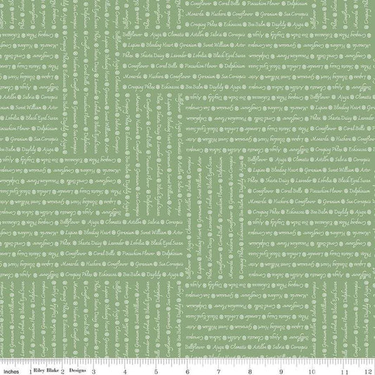 Image of the Perennial Words Green quilting cotton fabric by Jill Finley for Riley Blake Designs. Features flower themed text on a light green background. 
Cute Little Fabric Shop