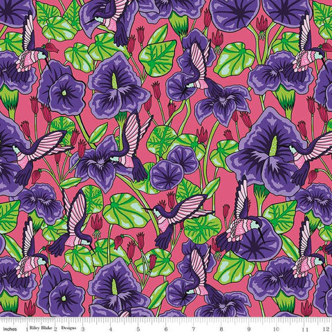 Image of the Botanic Blast Hummingbird Floral Raspberry quilting cotton fabric by Sew Yeah Quilting for Riley Blake Designs. Features  flowers and hummingbirds on a pink background.
Cute Little Fabric Shop
