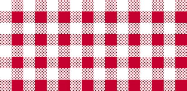 CLEARANCE Dots and Stripes and More PRINTED Medium Gingham 28896 R Red White - QT Fabrics - Check Checks Checkered - Quilting Cotton Fabric