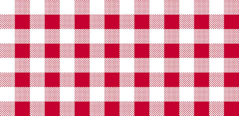 CLEARANCE Dots and Stripes and More PRINTED Medium Gingham 28896 R Red White - QT Fabrics - Check Checks Checkered - Quilting Cotton Fabric