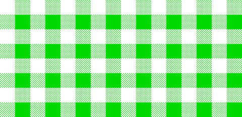 CLEARANCE Dots and Stripes and More Brights PRINTED Medium Gingham 28896 G Green White - QT Fabrics - Checks - Quilting Cotton Fabric