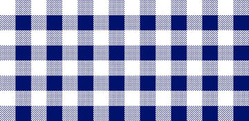 CLEARANCE Dots and Stripes and More PRINTED Medium Gingham 28896 N Navy White - QT Fabrics - Check Checks Checkered - Quilting Cotton Fabric