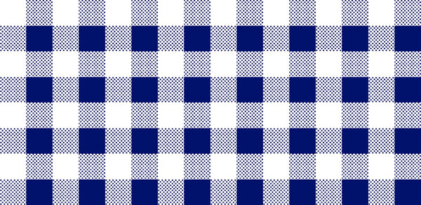 Dots and Stripes and More PRINTED Medium Gingham 28896 N Navy White - QT Fabrics - Check Checks Checkered - Quilting Cotton Fabric