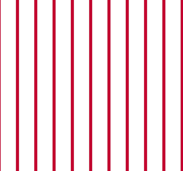 Dots and Stripes and More Spaced Stripe 28897 ZR Red White - QT Fabrics - Stripes Striped - Quilting Cotton Fabric