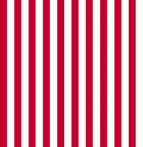 Dots and Stripes and More Small Stripe 28898 R Red White - QT Fabrics - Stripes Striped - Quilting Cotton Fabric