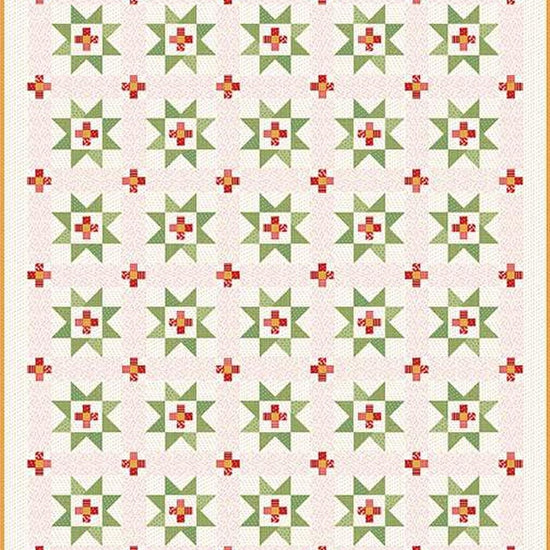 Image of the It's Sew Emma Prairie Home Book by Lori Holt for Riley Blake Designs. Features a cream and green star quilt.
Cute Little Fabric Shop