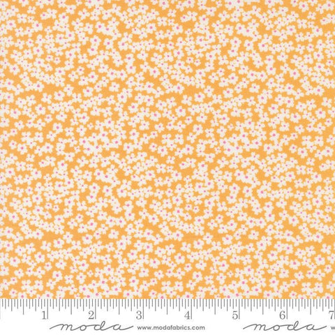 Image of the Shine Bloom Orangesicle quilting cotton fabric by Sweetwater for Moda Fabrics. Features small flowers on a bright orange background. 
Cute Little Fabric Shop