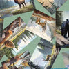 Image of the On the Road Again Animal Postcards Seafoam quilting cotton fabric by Moda Fabrics. Features scattered postcards of animals. 
Cute Little Fabric Shop
