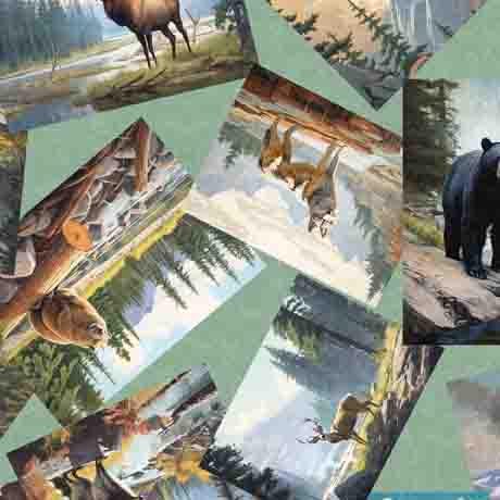 Image of the On the Road Again Animal Postcards Seafoam quilting cotton fabric by Moda Fabrics. Features scattered postcards of animals. 
Cute Little Fabric Shop