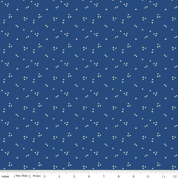 Image of the It Takes a Village Shining Star Hero Blue quilting cotton fabric by Jennifer Long for Riley Blake Designs. Features small scattered star on a blue background. 
Cute Little Fabric Shop