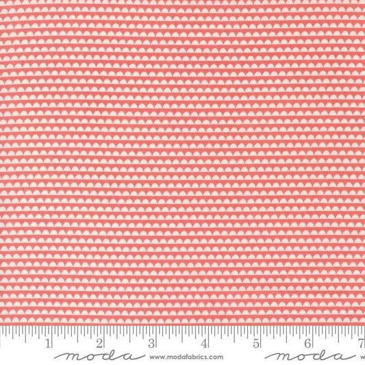 Image of the Rosemary Cottage Stripes Strawberry quilting cotton fabric by Moda Fabrics. Features pink and cream scalloped stripes.
Cute Little Fabric Shop
