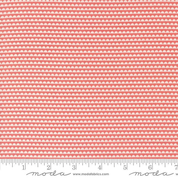 Image of the Rosemary Cottage Stripes Strawberry quilting cotton fabric by Moda Fabrics. Features pink and cream scalloped stripes.
Cute Little Fabric Shop