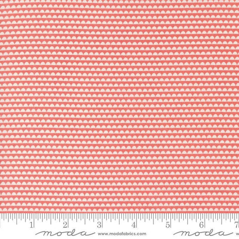 Image of the Rosemary Cottage Stripes Strawberry quilting cotton fabric by Moda Fabrics. Features pink and cream scalloped stripes.
Cute Little Fabric Shop