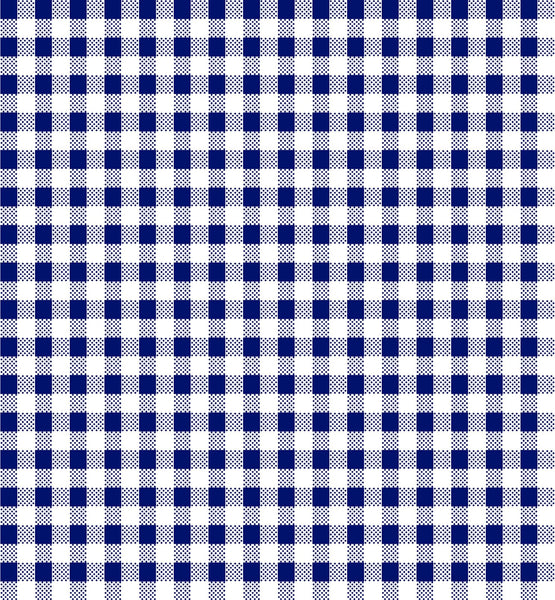 Dots and Stripes and More PRINTED Mini Gingham 28895 N Navy White - QT Fabrics - Check Checks Checkered - Quilting Cotton Fabric