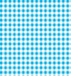 SALE Dots and Stripes and More Brights PRINTED Mini Gingham 28895 Q Turquoise White - QT Fabrics - Check Checks - Quilting Cotton Fabric