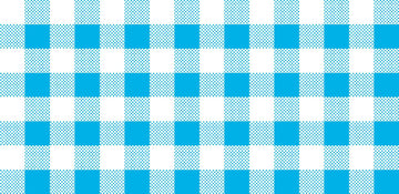 CLEARANCE Dots and Stripes and More Brights PRINTED Medium Gingham 28896 Q Turquoise White - QT Fabrics - Check - Quilting Cotton Fabric