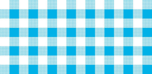 CLEARANCE Dots and Stripes and More Brights PRINTED Medium Gingham 28896 Q Turquoise White - QT Fabrics - Check - Quilting Cotton Fabric