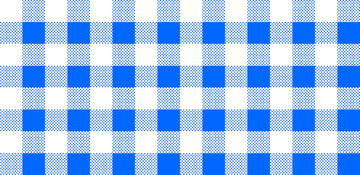 CLEARANCE Dots and Stripes and More Brights PRINTED Medium Gingham 28896 B Blue White - QT Fabrics -  Checks - Quilting Cotton Fabric
