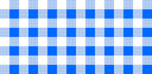 CLEARANCE Dots and Stripes and More Brights PRINTED Medium Gingham 28896 B Blue White - QT Fabrics -  Checks - Quilting Cotton Fabric