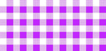 CLEARANCE Dots and Stripes and More Brights PRINTED Medium Gingham 28896 V Purple White - QT Fabrics - Checks - Quilting Cotton Fabric