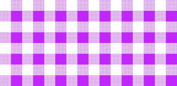 CLEARANCE Dots and Stripes and More Brights PRINTED Medium Gingham 28896 V Purple White - QT Fabrics - Checks - Quilting Cotton Fabric