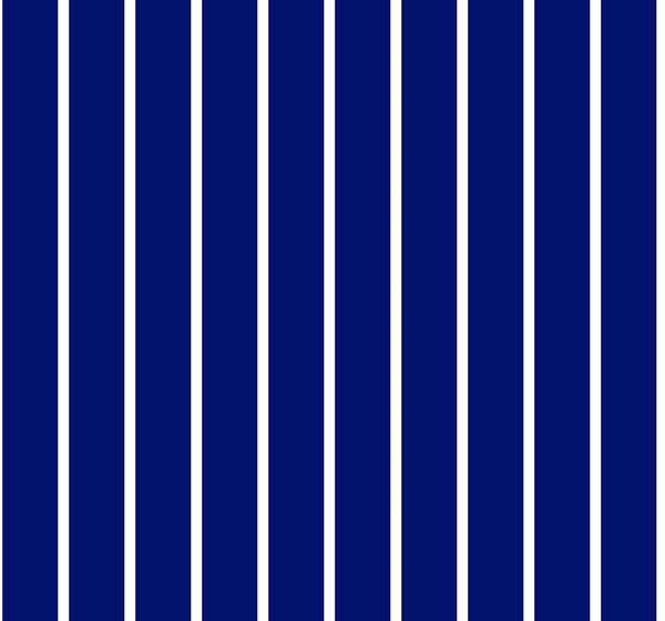 SALE Dots and Stripes and More Spaced Stripe 28897 N Navy White - QT Fabrics - Stripes Striped - Quilting Cotton Fabric