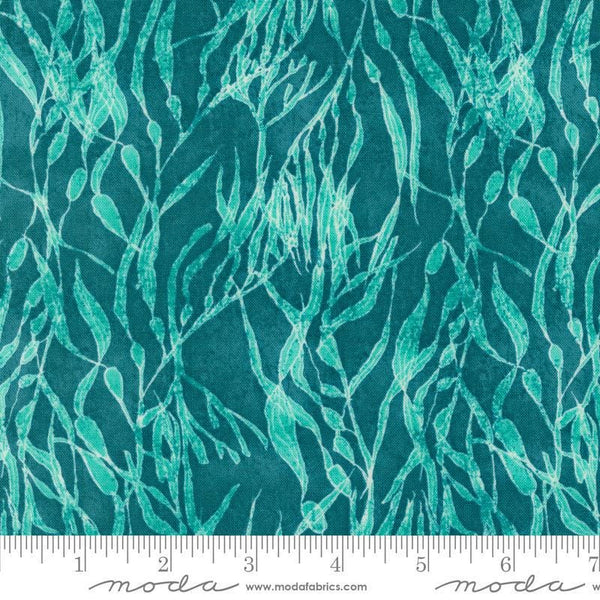 Serena Shores Seaweed Lagoon quilting cotton fabric by Robin Pickens for Moda Fabrics. Features seaweed vines on a blue teal background. 
Cute Little Fabric Shop