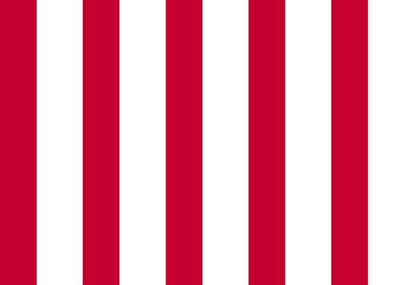 CLEARANCE Dots and Stripes and More Medium Stripe 28899 R Red White - QT Fabrics - Stripes Striped - Quilting Cotton Fabric