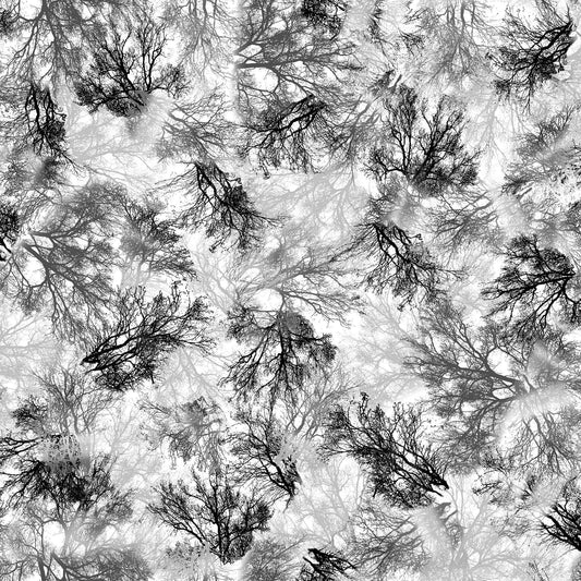 SALE Tree Dance Branches 30294 Gray K - QT Fabrics - Trees - Quilting Cotton Fabric